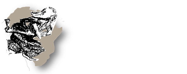 Afrikan Majik Safari Tours